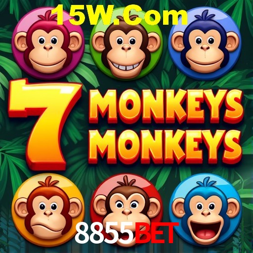 Interface Premium 8855Bet