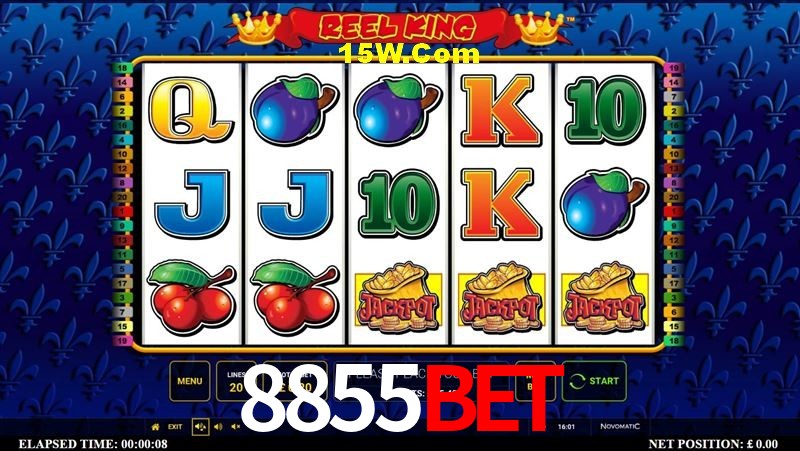 Tennis Betting 8855Bet