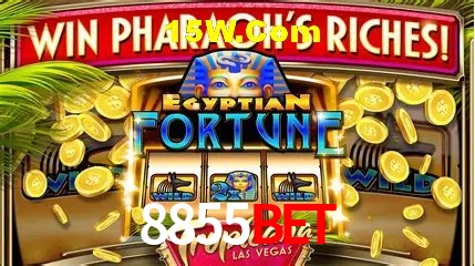 Design Responsivo 8855Bet